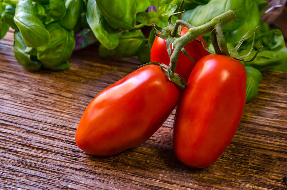 San Marzano Tomaten ( Von REMO ARCARO - Shutterstock)