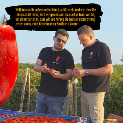 NOLANO - 24x 400g San Marzano Tomaten Dose D.O.P