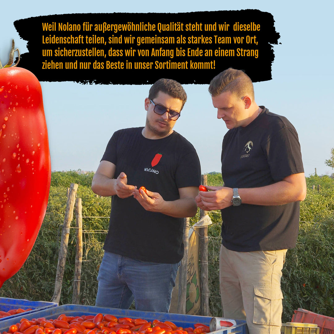 Caputo Fioreglut glutenfreies Mehl Set - Nolano San Marzano Tomaten & Meersalz