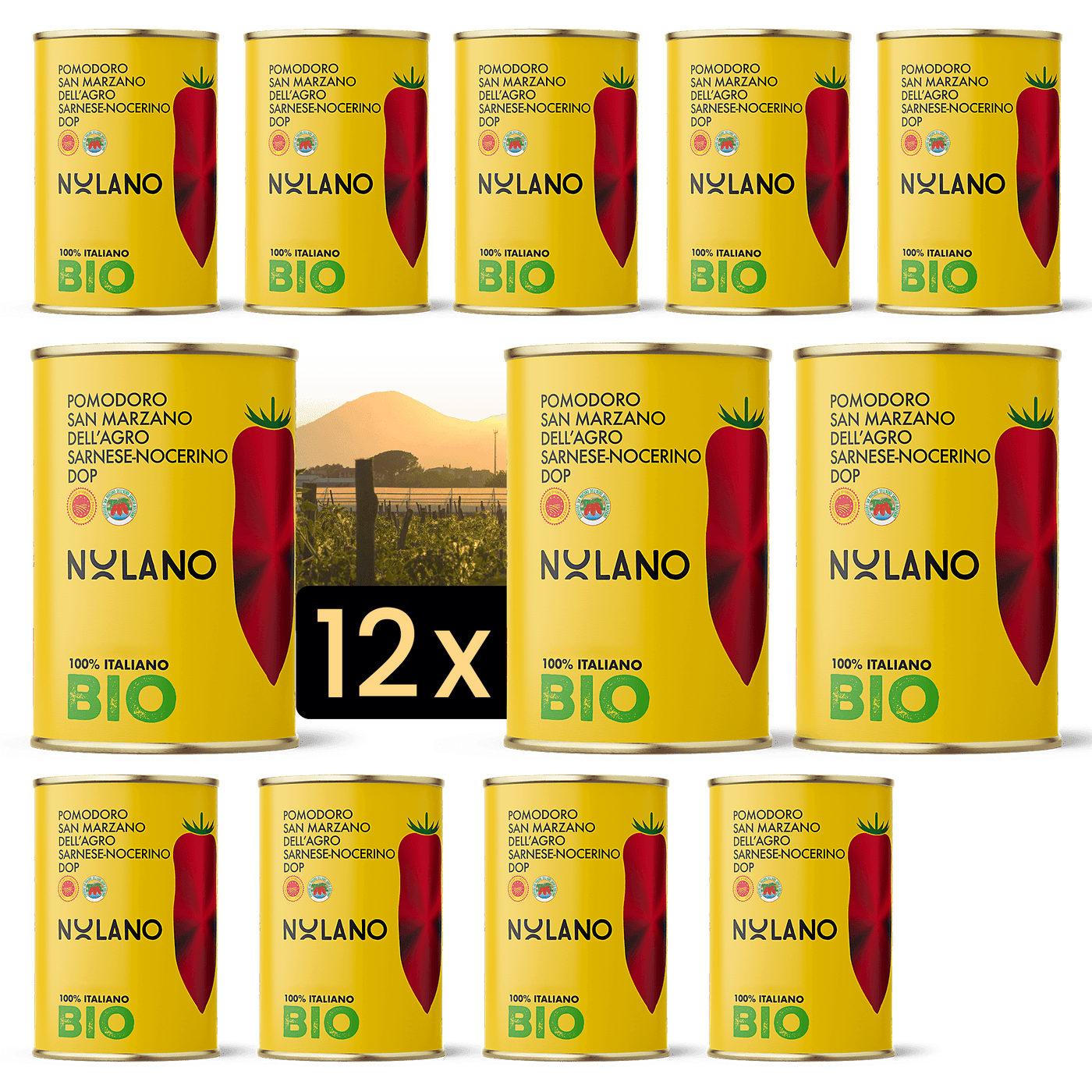 NOLANO - BIO - San Marzano Tomate DOP 400g Dose