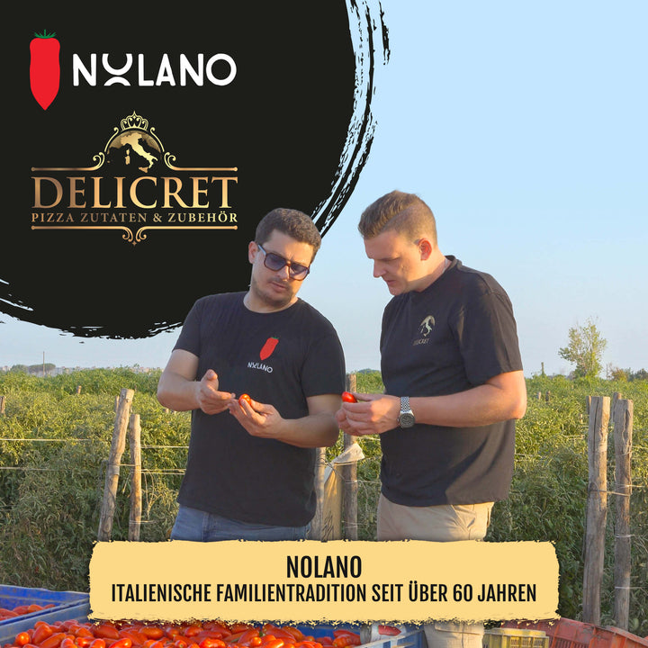 NOLANO - BIO - San Marzano Tomate DOP 400g Dose