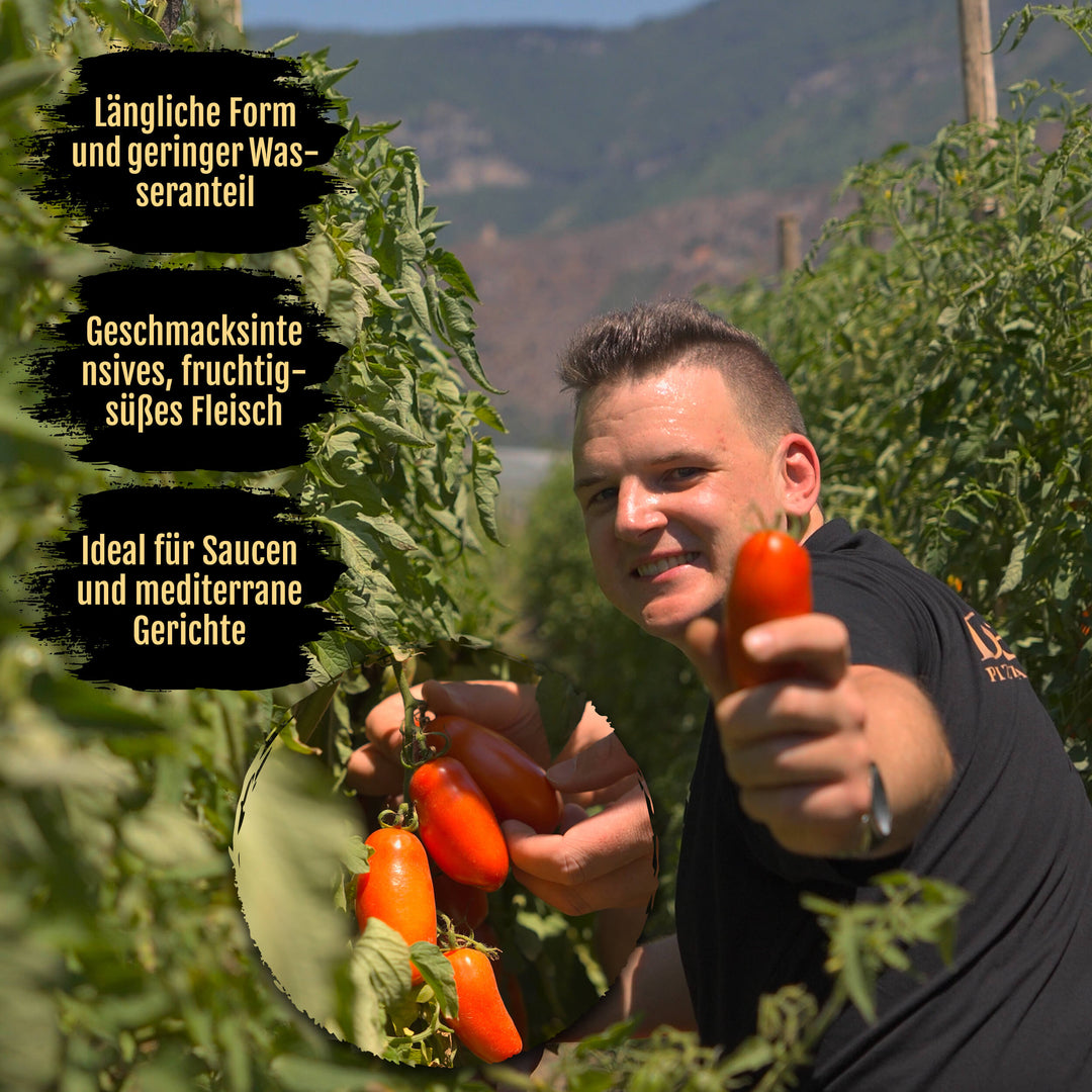 NOLANO - BIO - San Marzano Tomate DOP 400g Dose