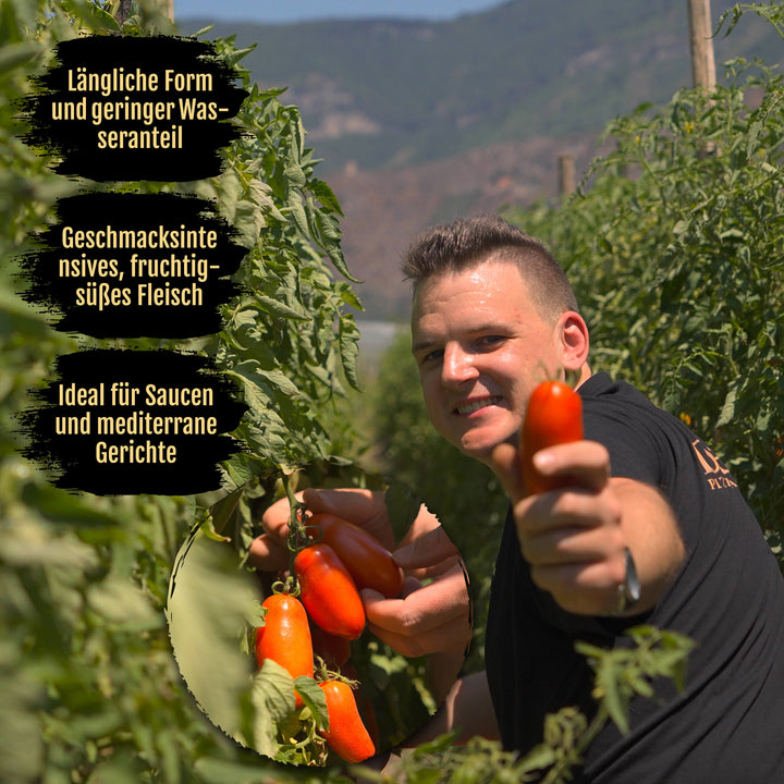 NOLANO - BIO - San Marzano Tomate DOP 400g Dose