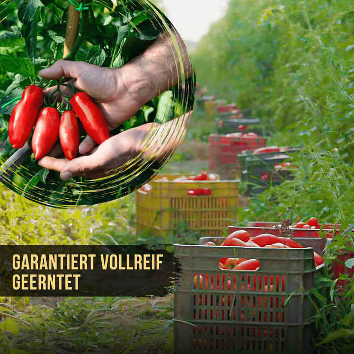 STRIANESE - SAN MARZANO TOMATE DOP DOSE - JE 400G