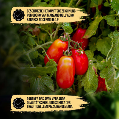 24x SOLANIA San Marzano Tomaten DOP in der Dose a 400g